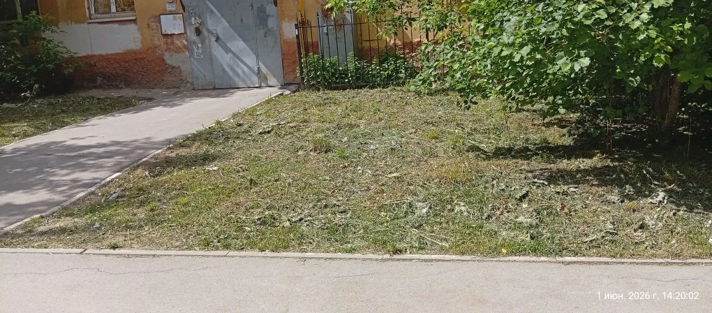 Эти фотографии передают запах свежескошенной травы 🌱🌱🌱