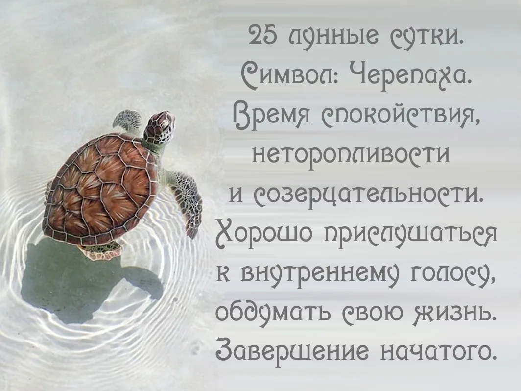 25-й лунный день  с 10.06 01:05 по 11.06 01:13 MSK.