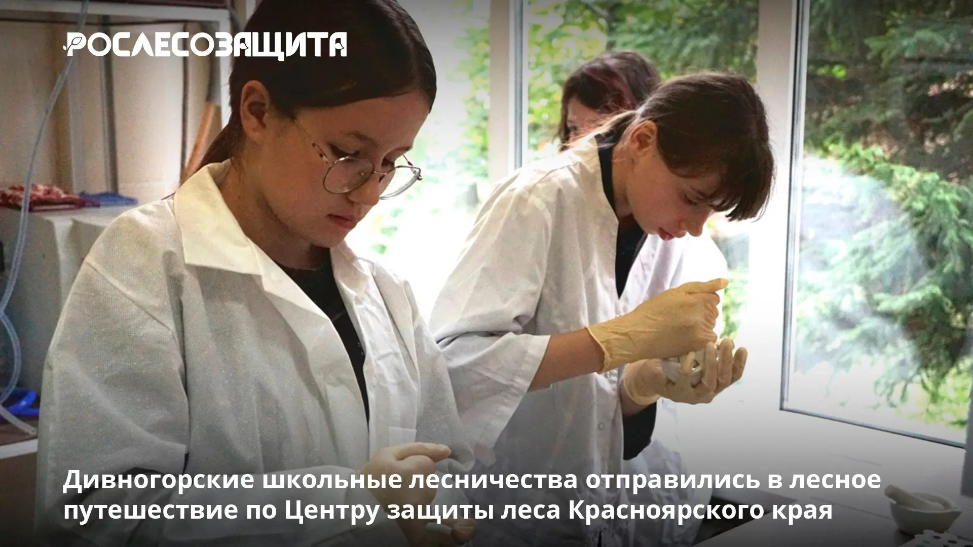 👫 В гостях у специалистов Центра защиты леса Красноярского края побывали ребята из див...