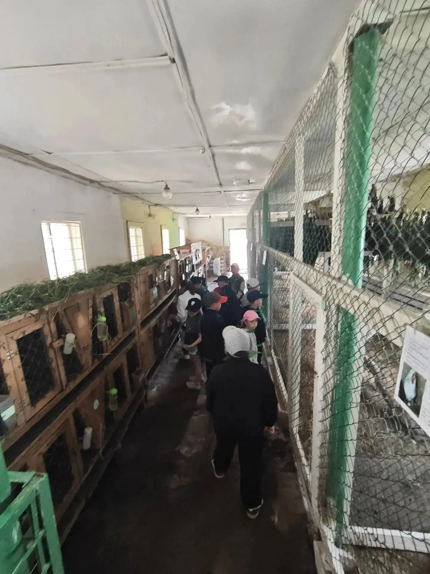 Ребята из 1-го отряда лагеря «Сила в единстве» побывали в контактном зоопарке при ГБПОУ «Коми-Пермяц