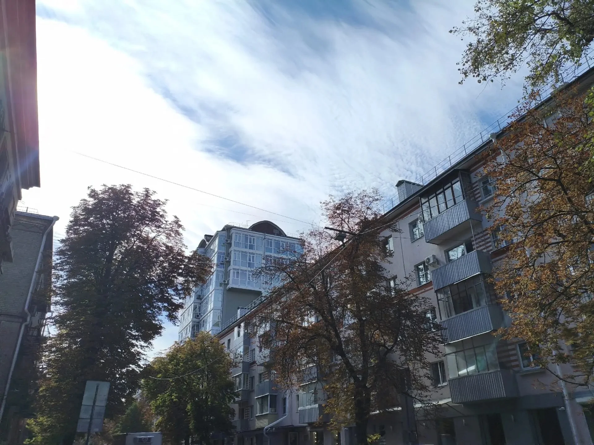 ☀️ Синоптики обещают потепление до +22 градусов в Воронежской области