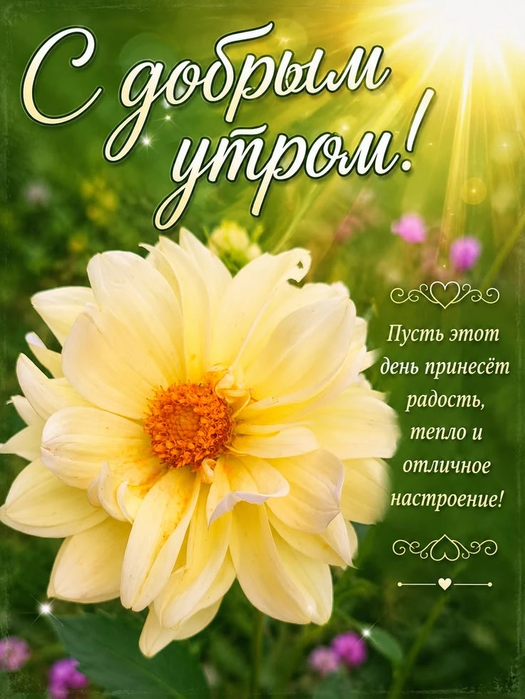 🌞🎉 Желаем бодрого утра и замечательного дня!