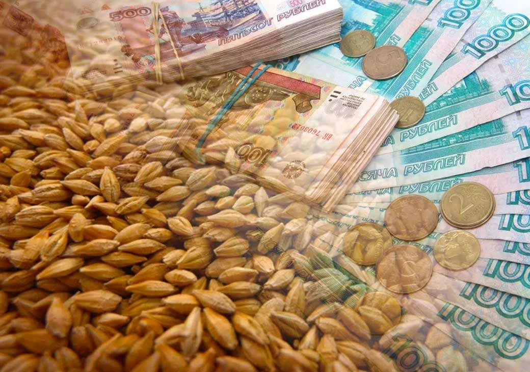 Экспортные пошлины на масло и зерно ограничат до конца 2026 года
