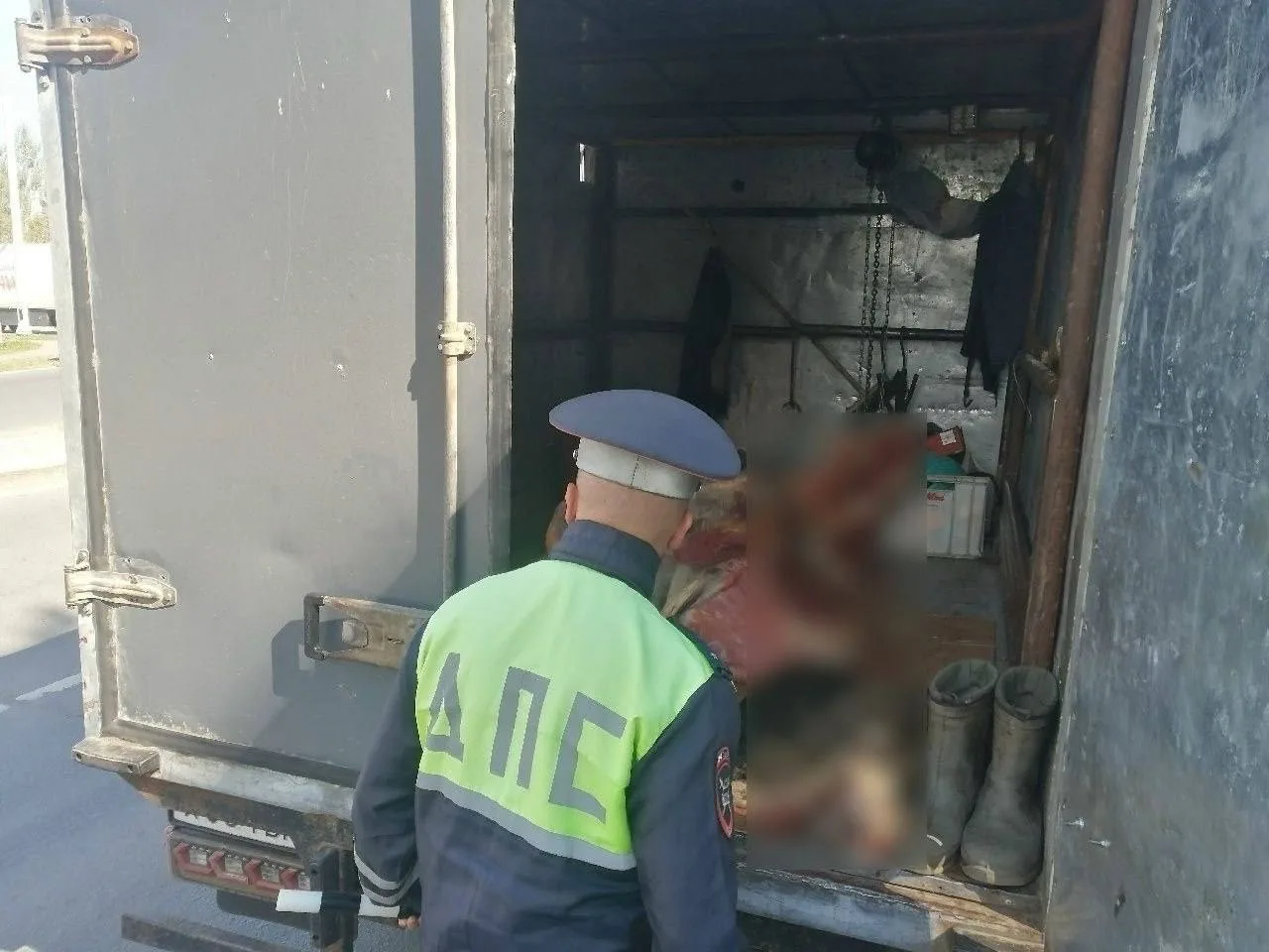 🚛 В Ново-Талицах остановили грузовик с тушей коровы без ветеринарных документов