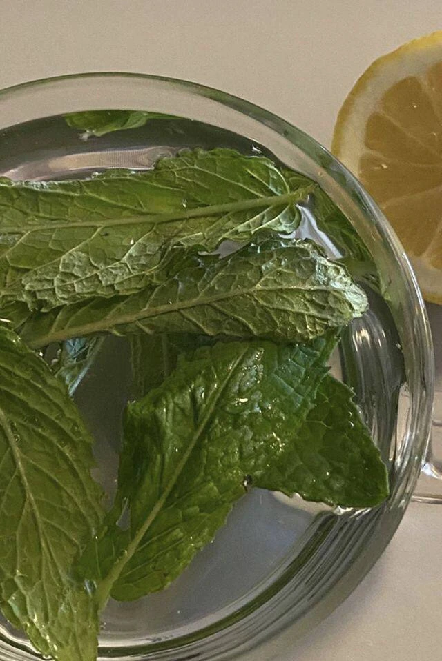 Завариваем чай для вечерних посиделок. Сочетание чая, трав и фруктов

🌱 Листья малины + дольки апел