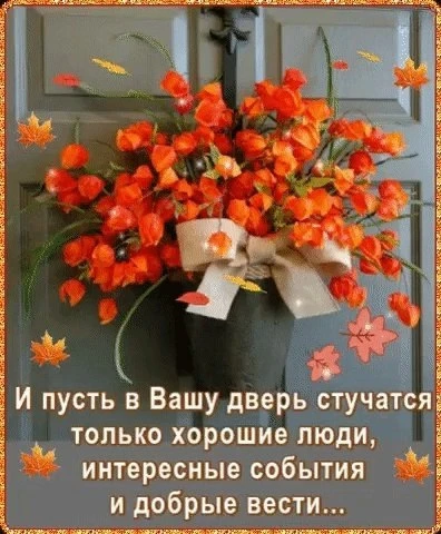 @pozdraf