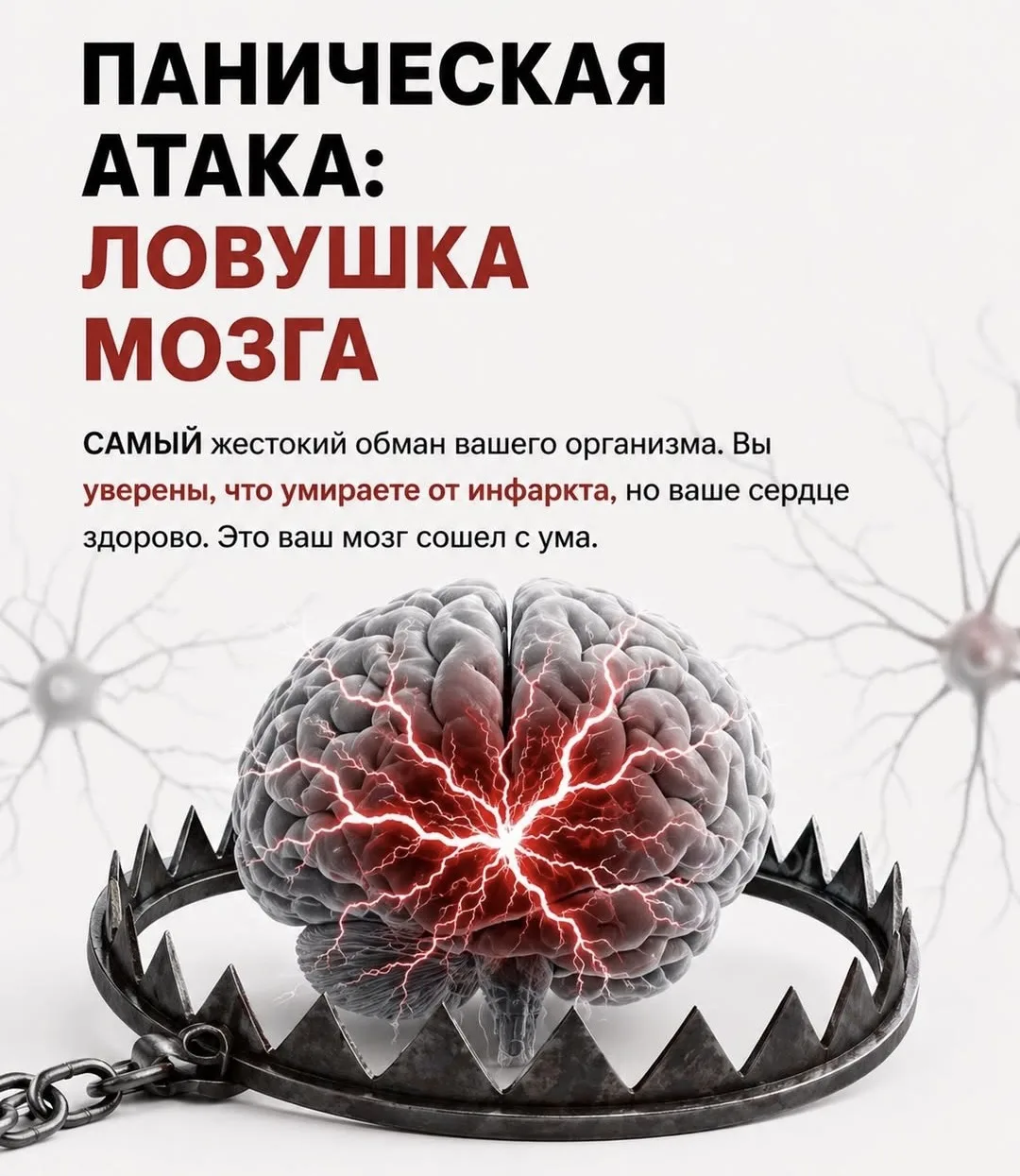 🧠Паническая атака - это не смерть мозга, сбой мозга.

Во время панической атаки кажется, что сердце