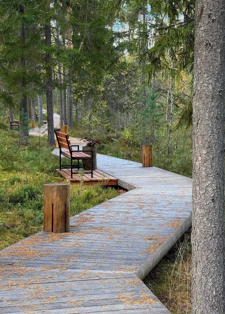 Выходные за городом: пешеходный экологический маршрут Ярви 🌳