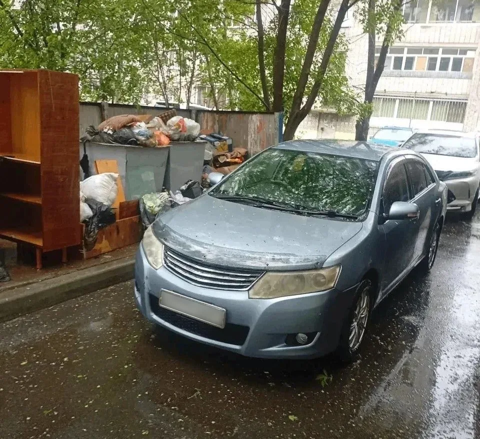 В Хабаровском крае могут начать штрафовать за машины, перекрывающие подъезд к мусорным ...