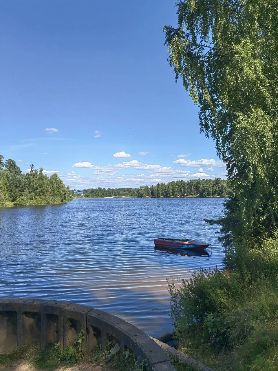 Вырица, Гатчинский район.