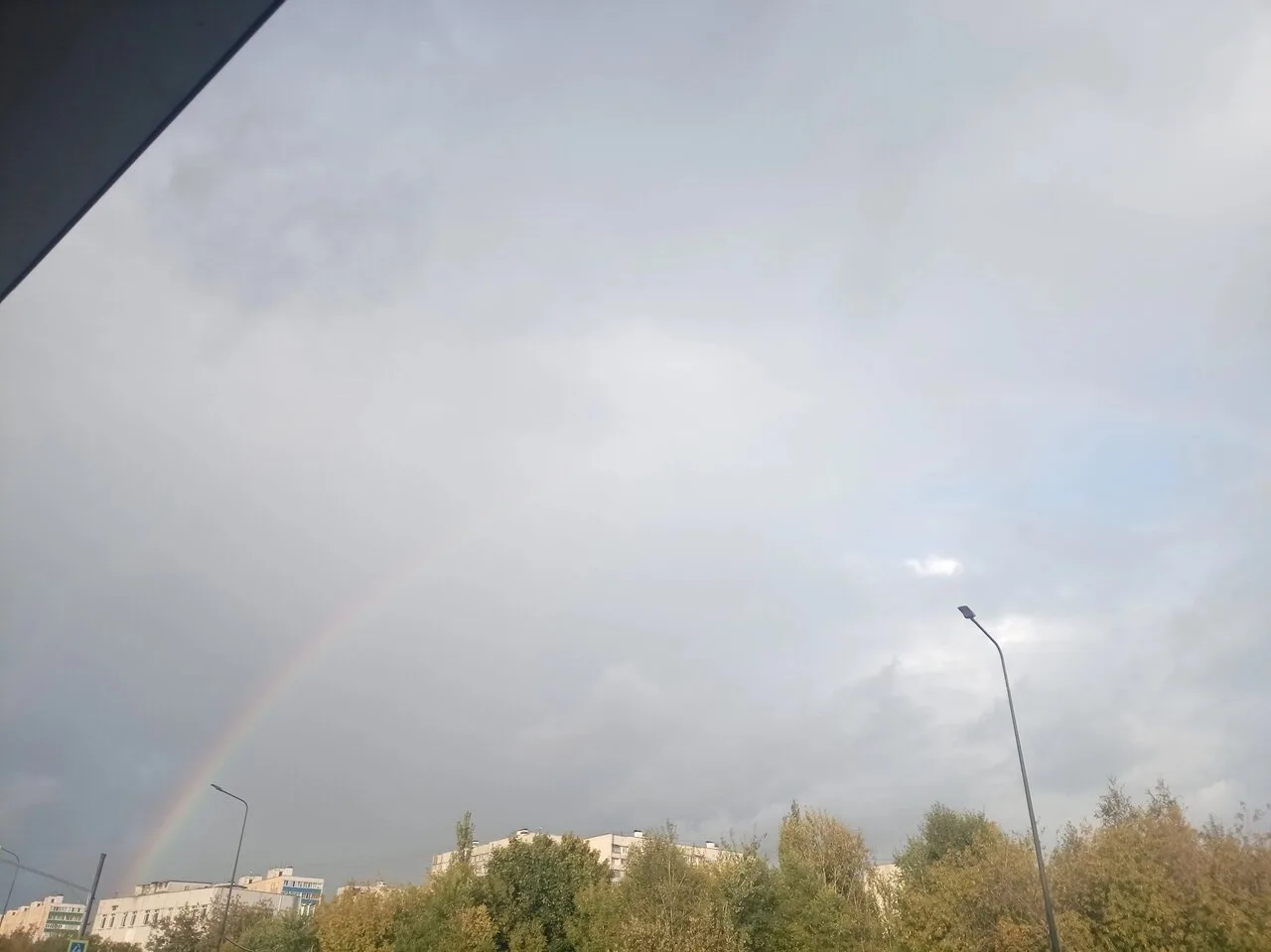 На днях подписчица Мария Харламова заметила вот такую картину 👀
