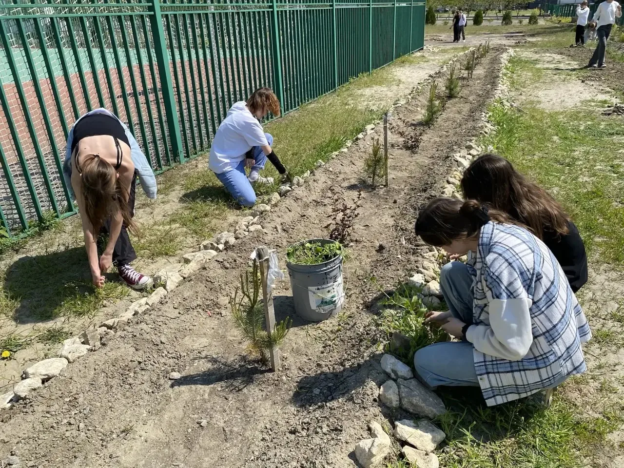 🌱✨ А мы продолжаем благоустраивать наш школьный двор! ✨🌱  Сегодня за дело взялись ученики 9‑х, 10‑х 