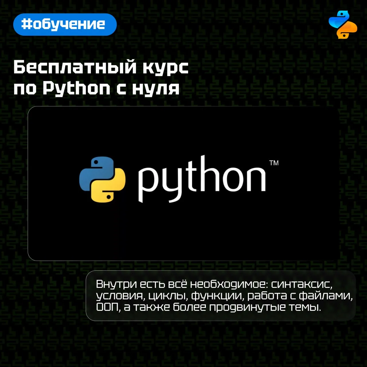 Изображение 1 к публикации «Python Developer»