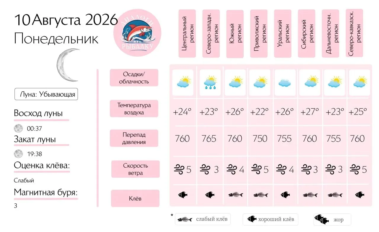 Прогноз клёва на 10 августа по фазе и состоянию луны 🎣