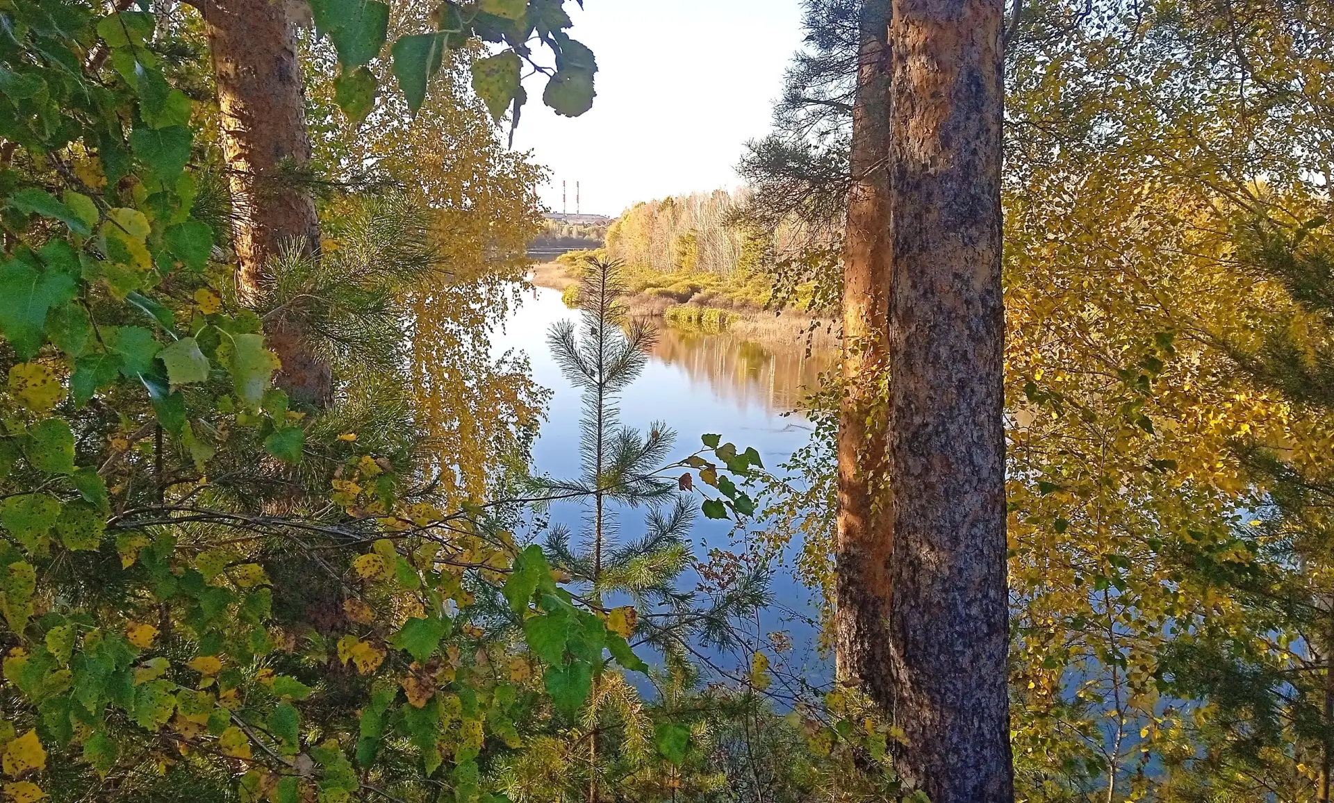 Прекрасный осенний день в Гилёвской роще! 🍁🍂🍃
