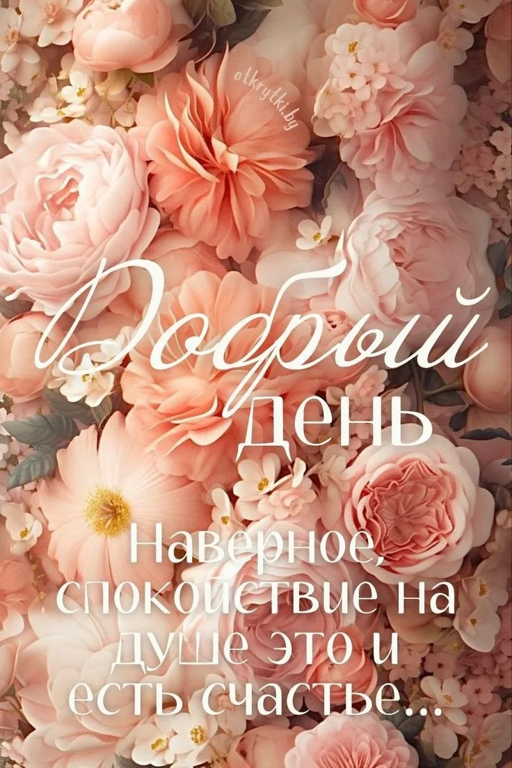 Делитесь открыткой с друзьями и поддерживайте реакцией