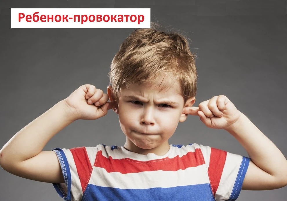 💁‍♀🗣🆘 Как воспитателю общаться с ребенком-провокатором.