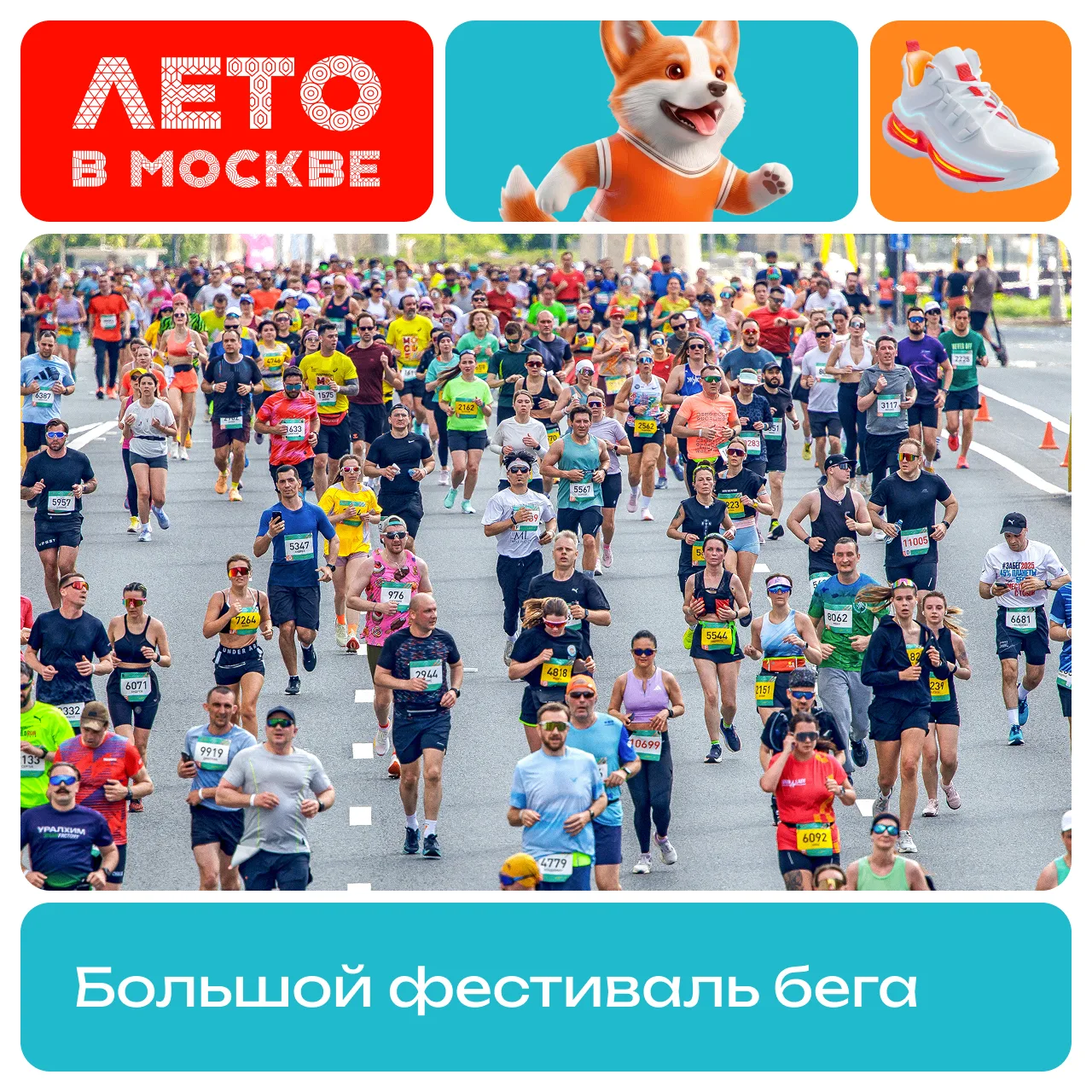 Превращаем Садовое кольцо в место спорта и музыки — 23 августа здесь пройдет Большой фе...