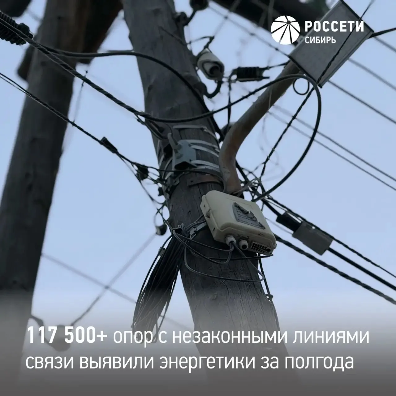 Энергетики выявили 117,5 тысячи опор ЛЭП с незаконно размещёнными линиями связи в Сибири и на Дальне