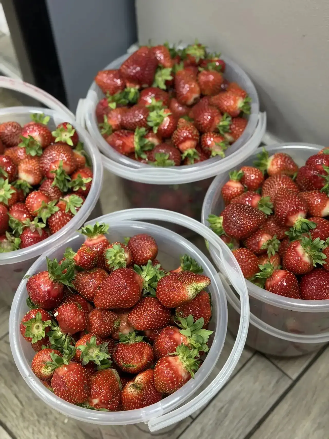 Шикарная клубника 🍓 🍓🍓

1400 ведро 2,8 кг , -100 руб без ведра 🔥👍