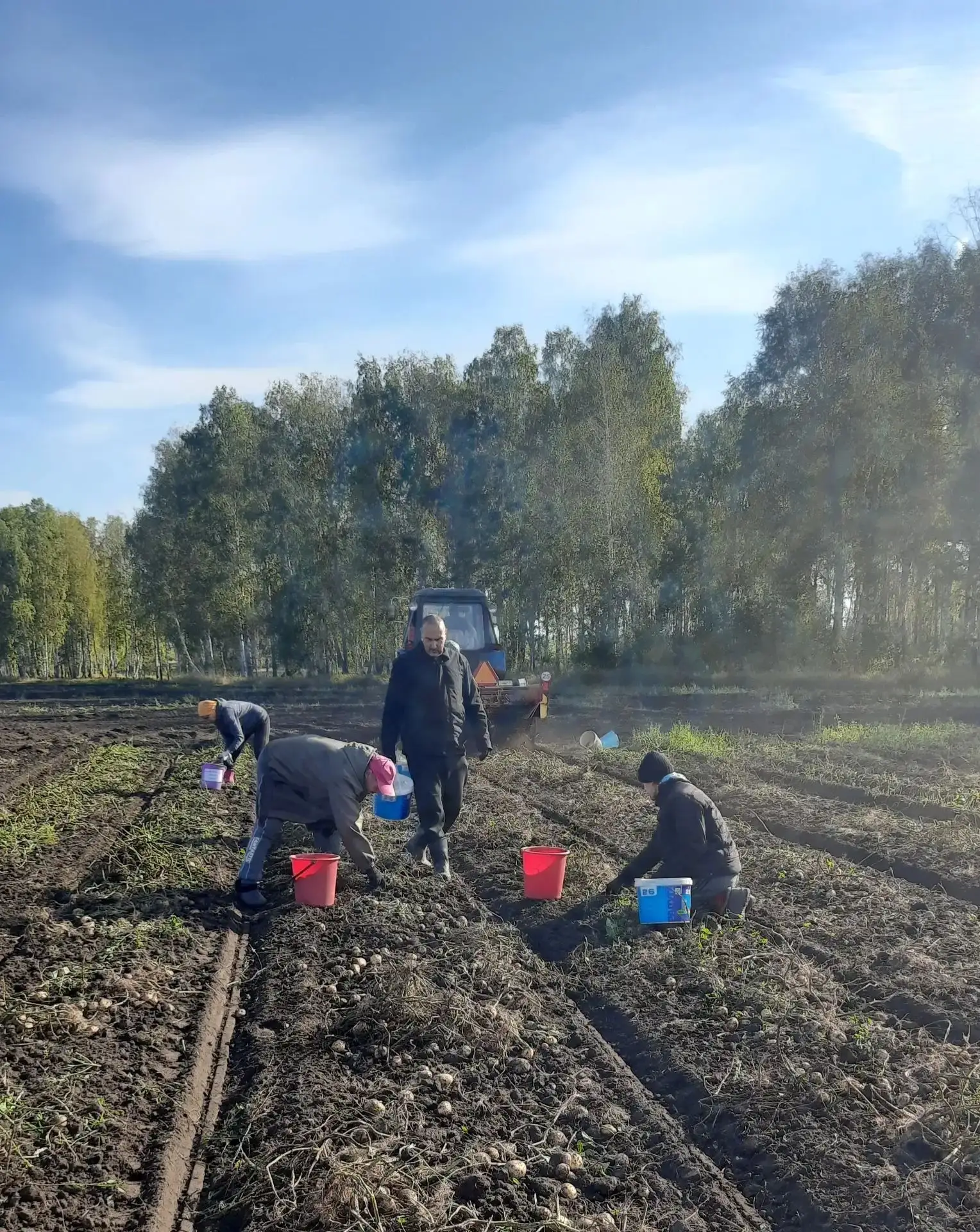 🥔 Друзья, вы уже начали копать картошку? 👇