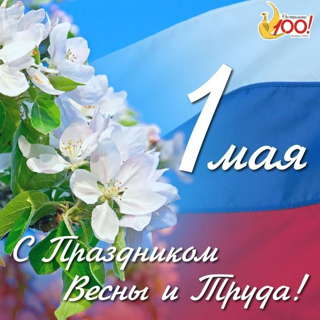 Дорогие друзья!