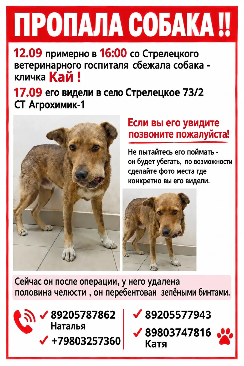 Друзья - по Каю  Информация такая :