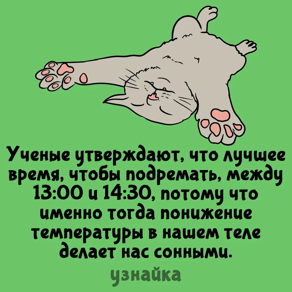 Мечта🤤
