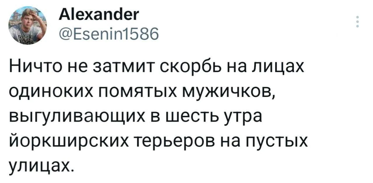 На замену принцам на белых конях 😆