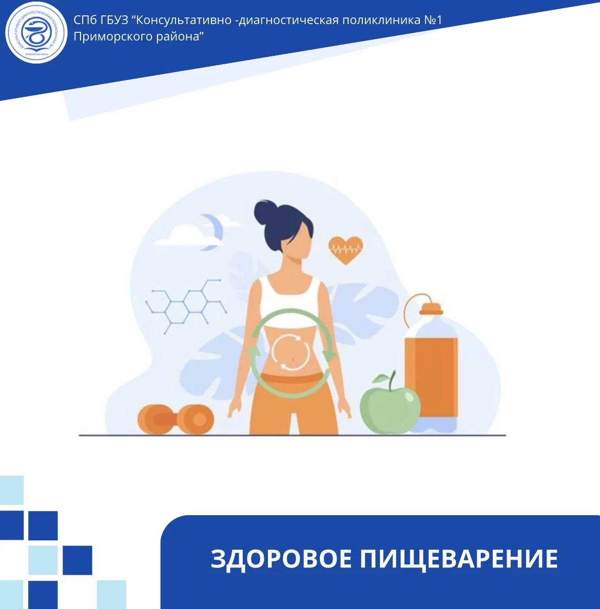 ЗДОРОВОЕ ПИЩЕВАРЕНИЕ