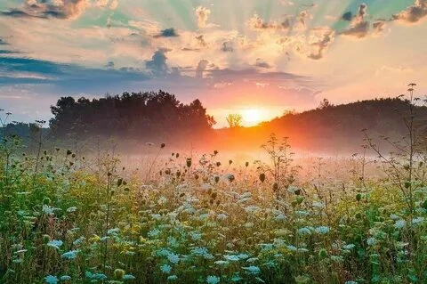 Рассвет подарил нам новое утро! Доброе утро!🌷