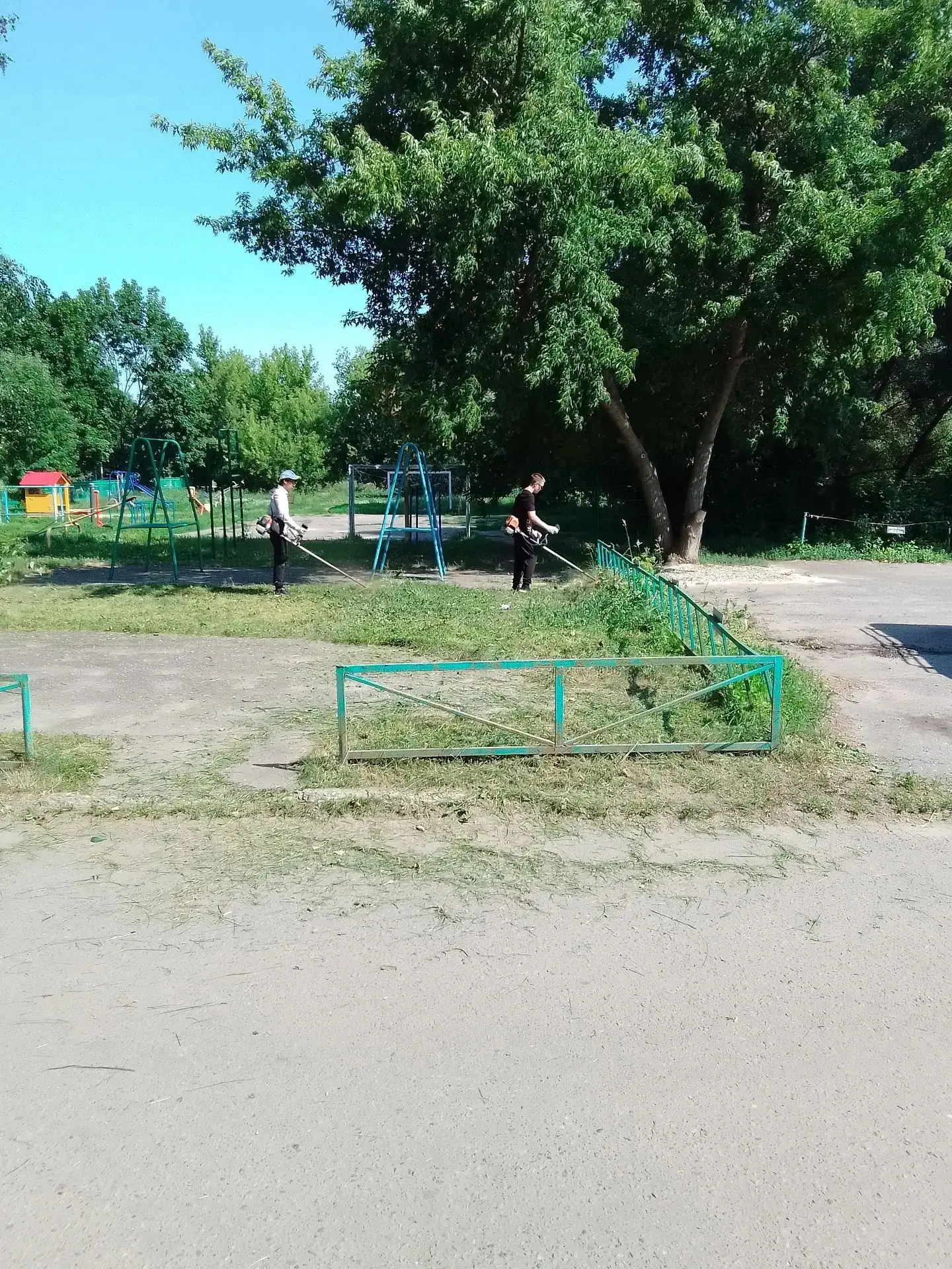 ООО УК Надежда-6 покос травы