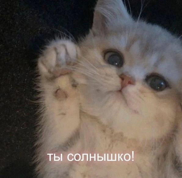 *ты знаешь, кому отправить <З