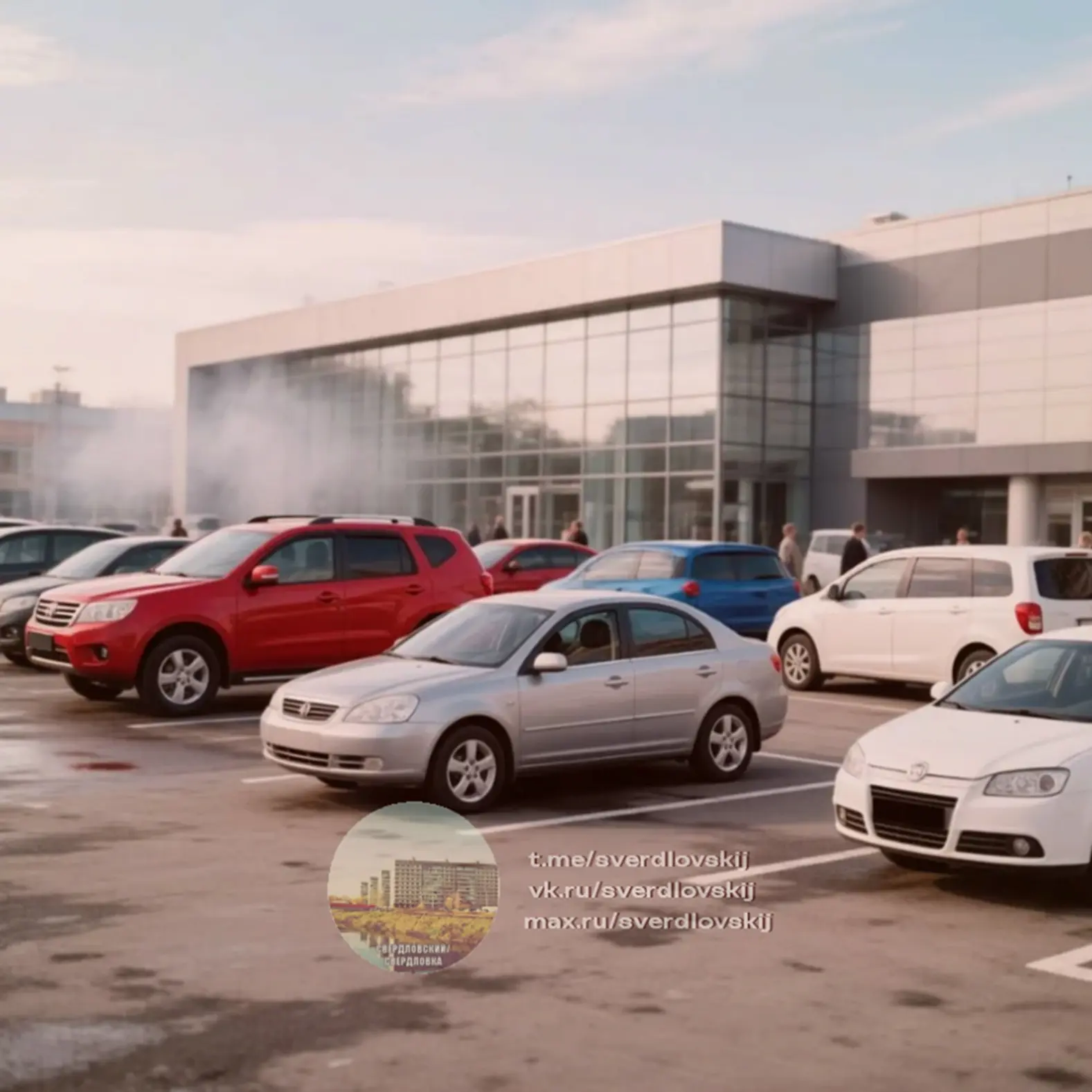 🚗 В Щёлкове разоблачили женщину, торговавшую чужими авто.