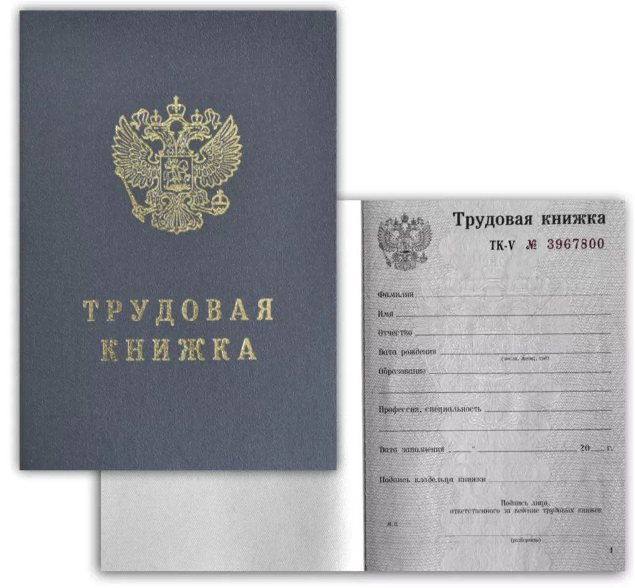 Запись о дисциплинарном взыскании в трудовую книжку. Рассказываем подробности.

Эксперты Роструда по