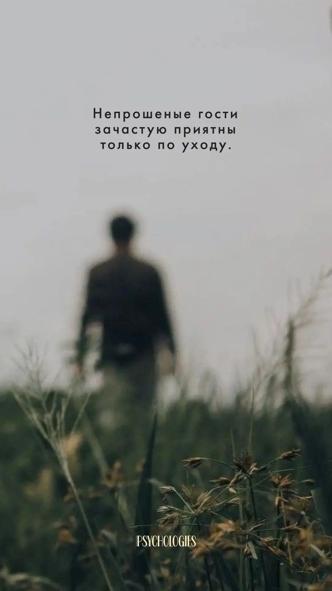 Непрошеные гости зачастую приятны только по уходу.