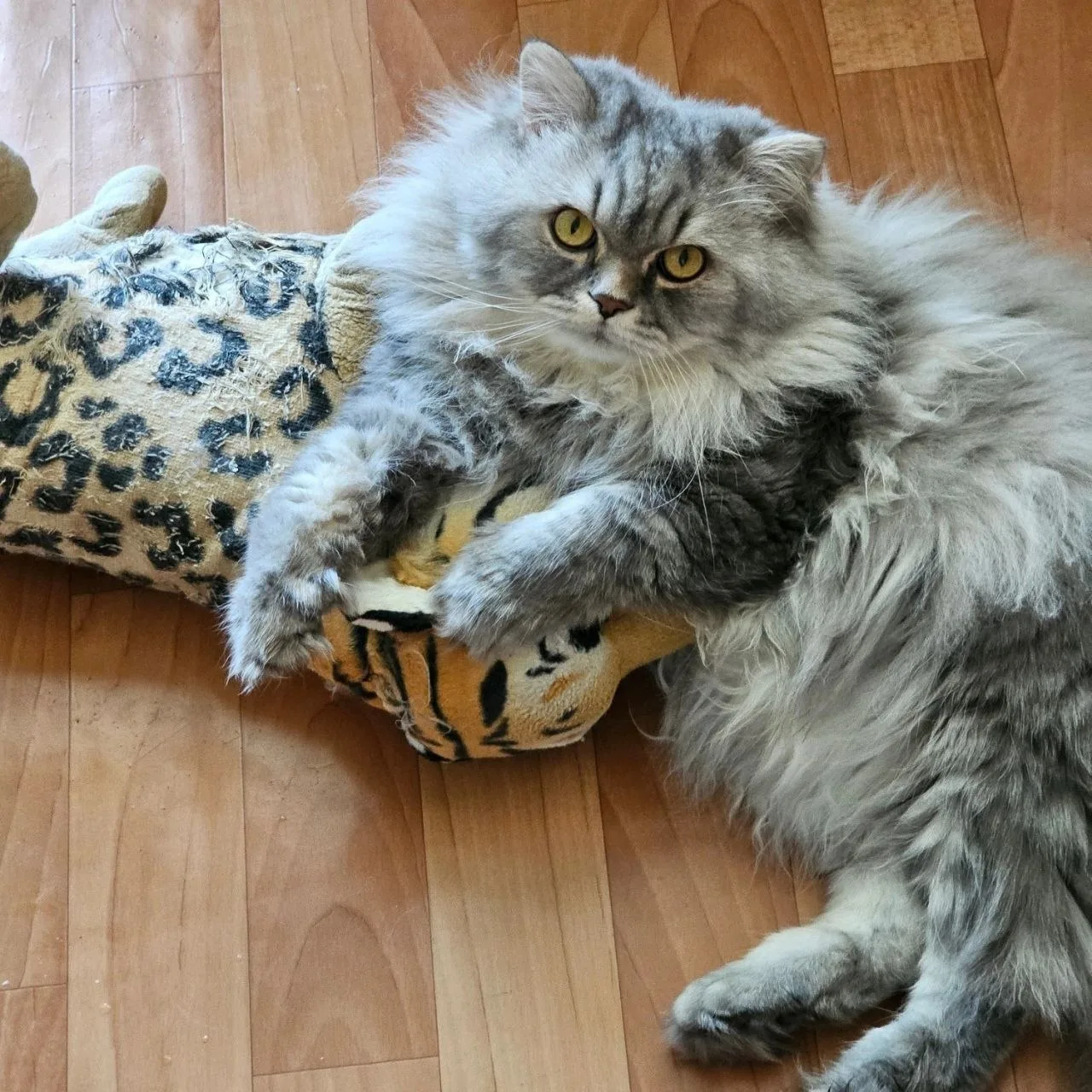 ❗️До сих пор не найден.