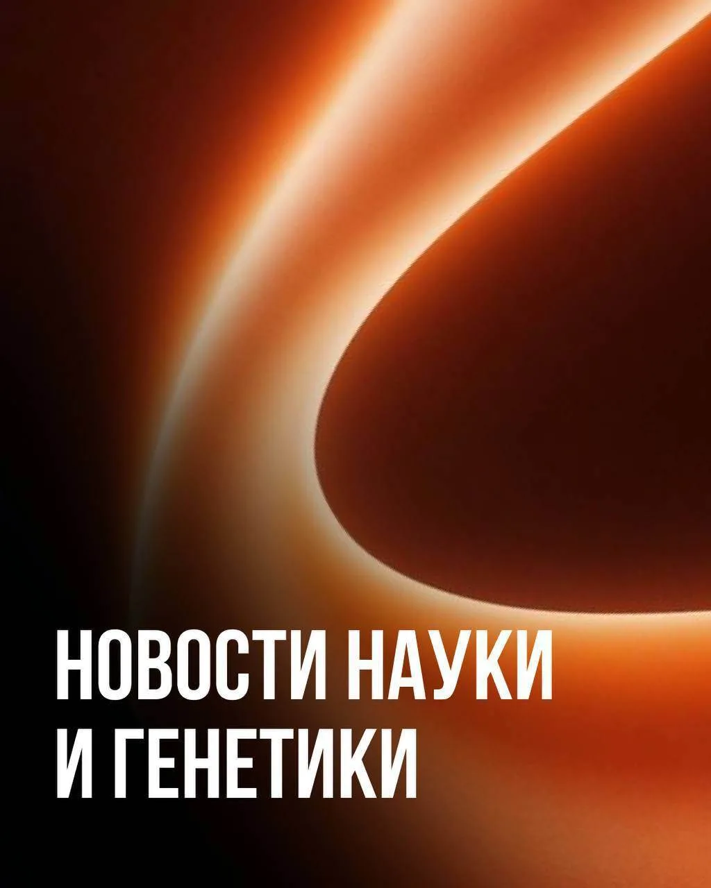 Картофель изменил ДНК жителей Анд? 🥔

Учёные показали, что многотысячелетнее употребление картофеля