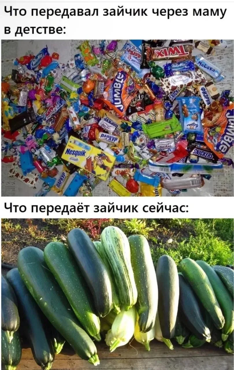 Дачники, доброе утро!☀️