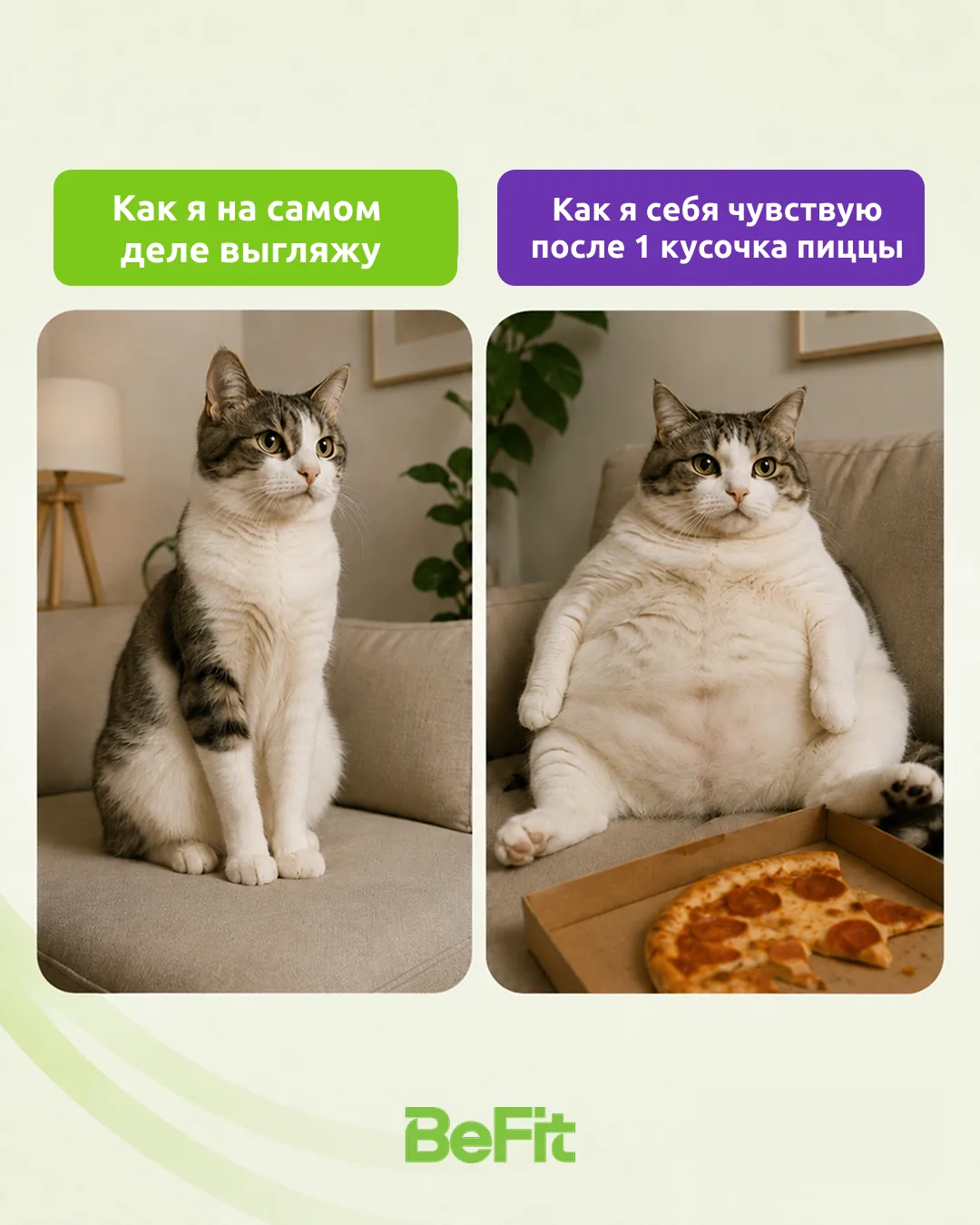 У вас также ?🤔