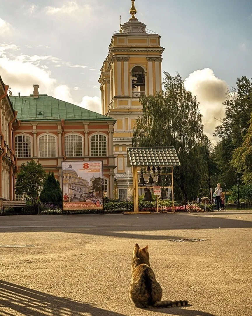 Тихий уголок Петербурга с особой атмосферой ✨