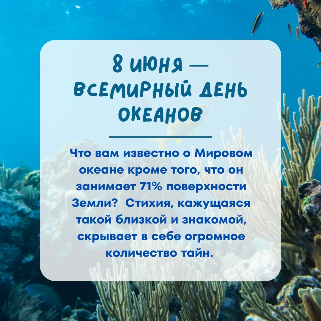 Рубрика: Экологическое воспитание