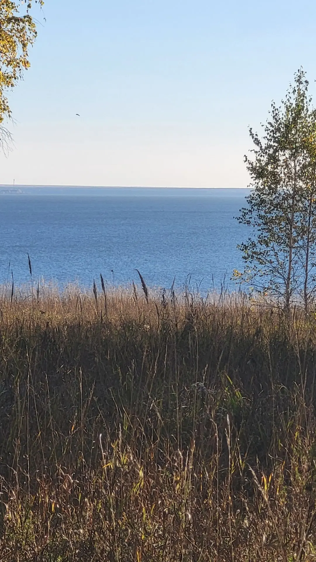 Здравствуйте море.