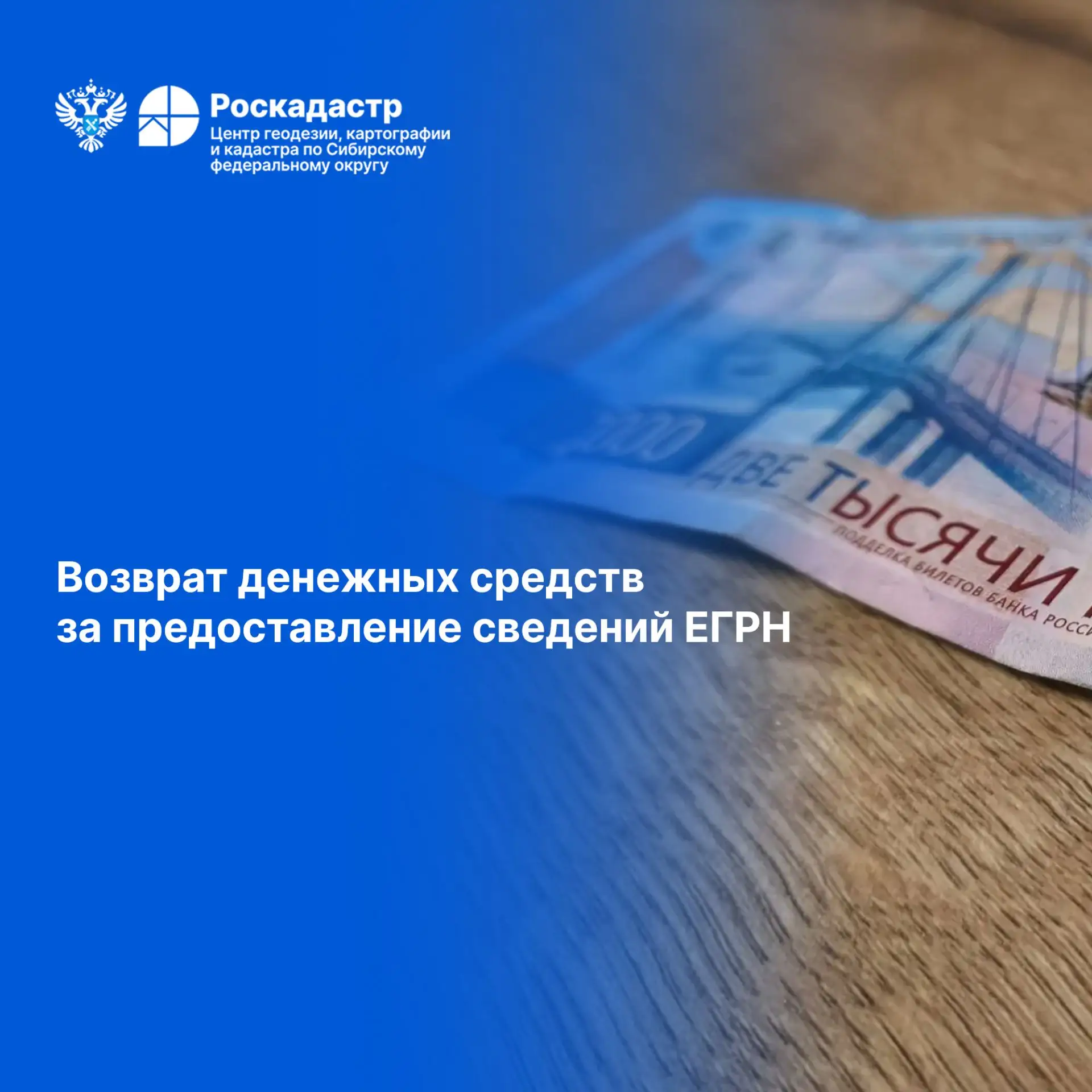 В филиале ППК «Роскадастр» по СФО рассказали, как вернуть плату за сведения ЕГРН