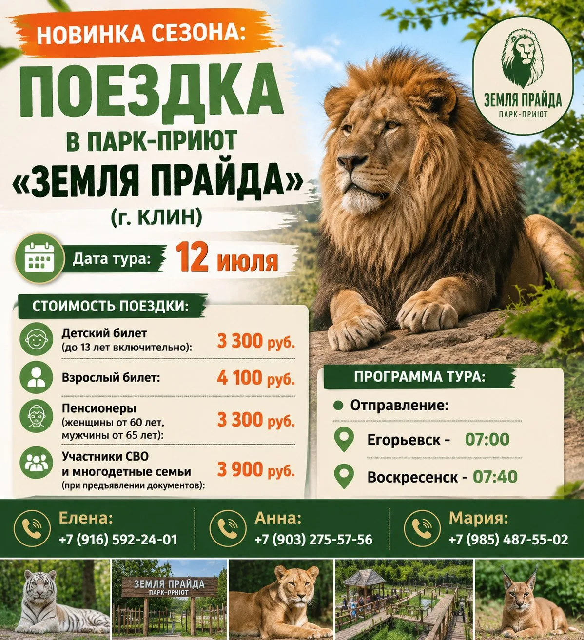 🦁 СЛЁЗЫ СЧАСТЬЯ И КОРОЛЕВСКАЯ ГРИВА: Поездка в место, где 
львы ходят по земле БЕЗ КЛЕТОК.

Они зас