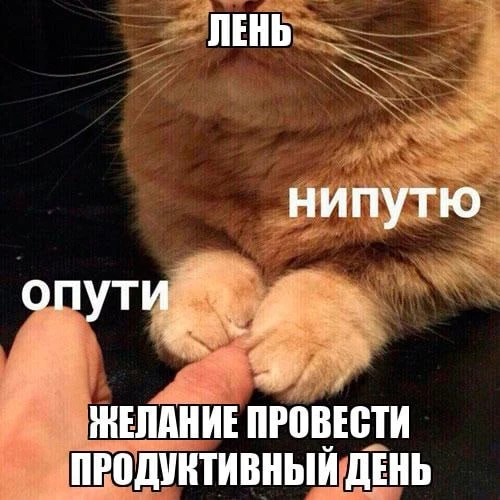 😜 Лентяи становятся лучшими руководителями