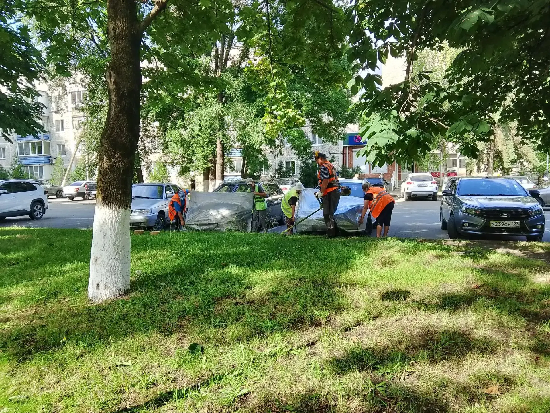 Скашивание сорной растительности в парке Победы пгт Мостовского