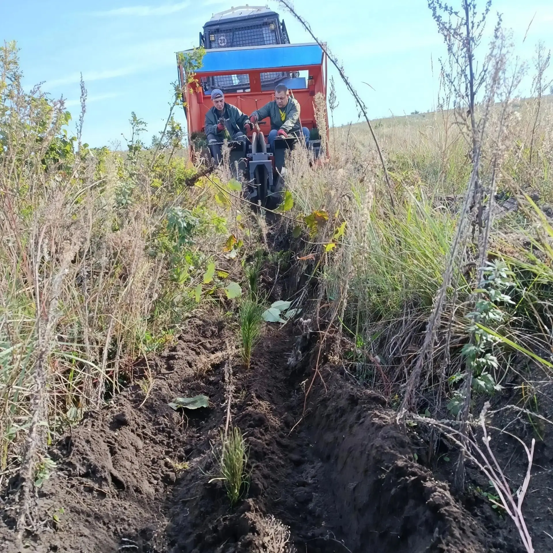 Делаем большое дело для будущего!🌲