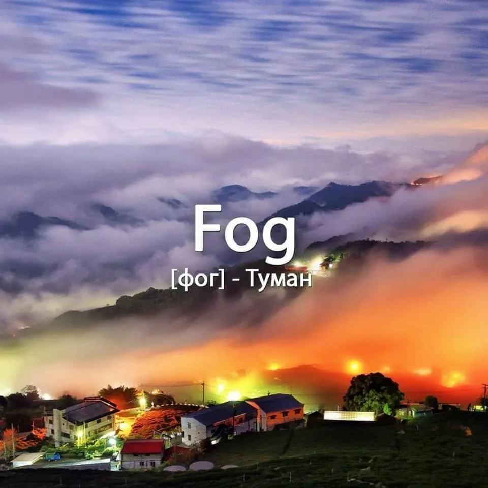 Fog