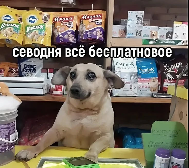 Мобильный трафик в Max станет бесплатным 

С 1 августа абоненты МТС, «Мегафона», «Билайна» и Т2 смог